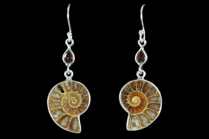 Fossil Ammonite Earrings - Sterling Silver #81646